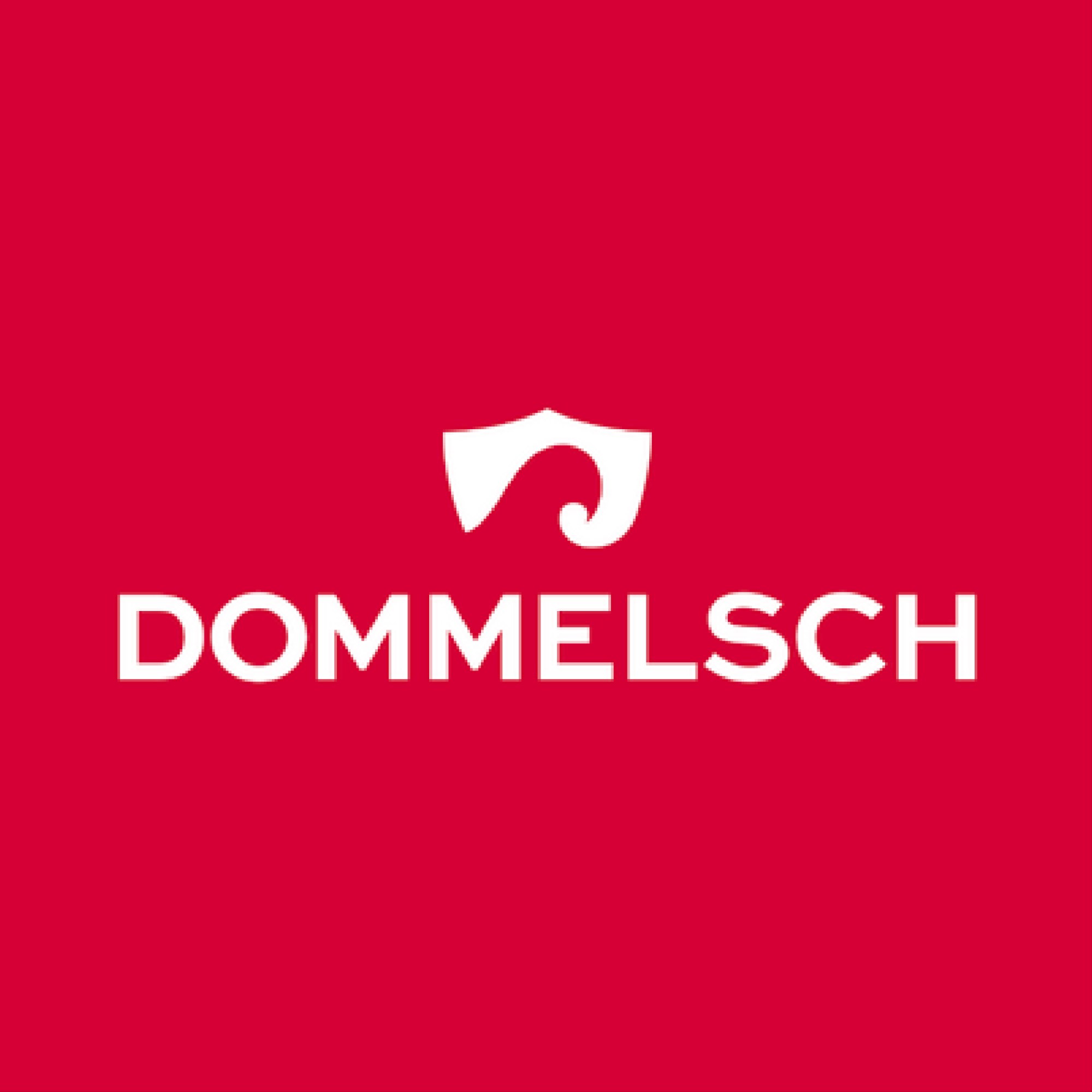 Dommelsche Bierbrouwerij